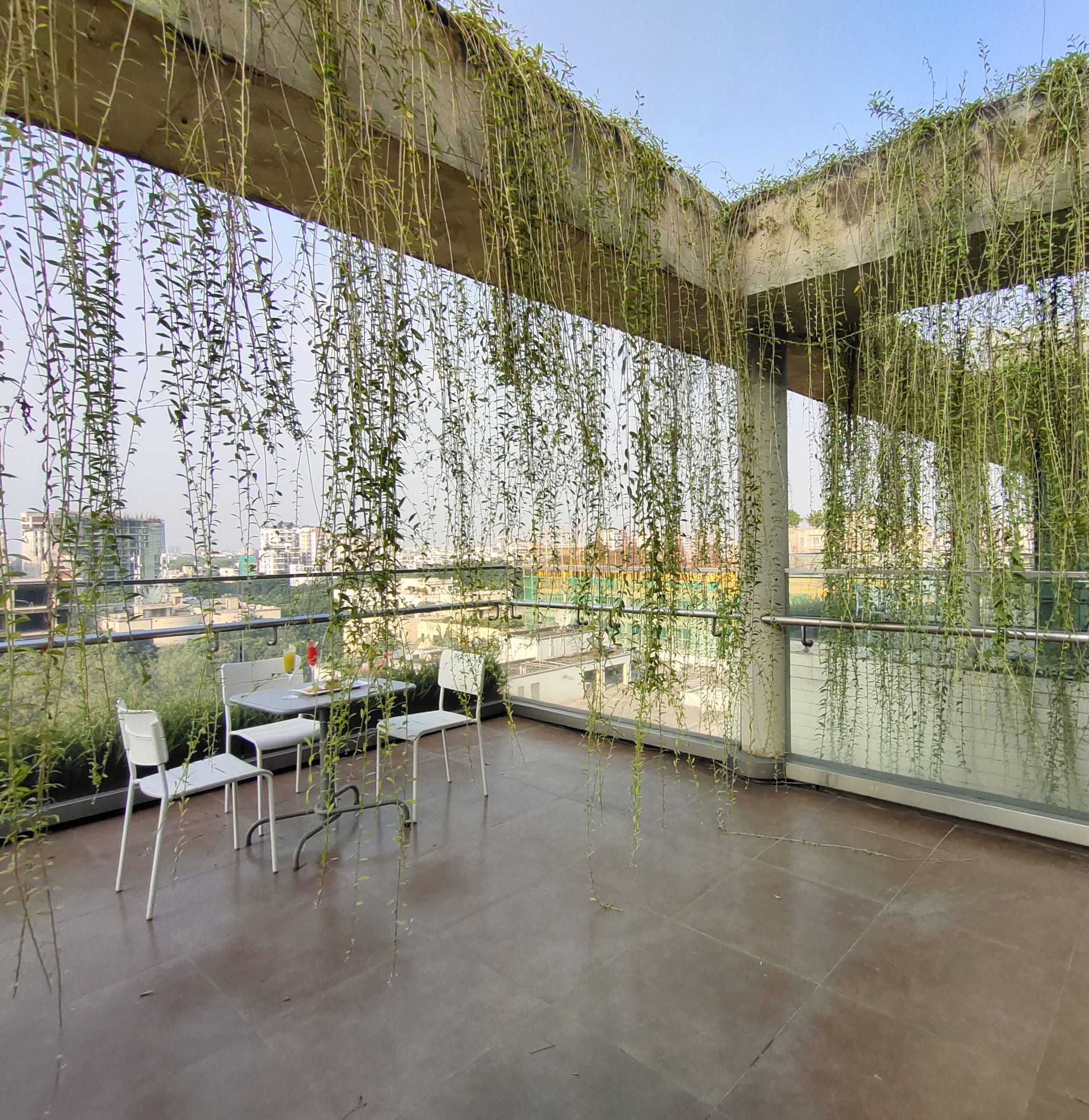The hanging garden